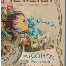 Almanacco Florealia linguaggio dei fiori 1905