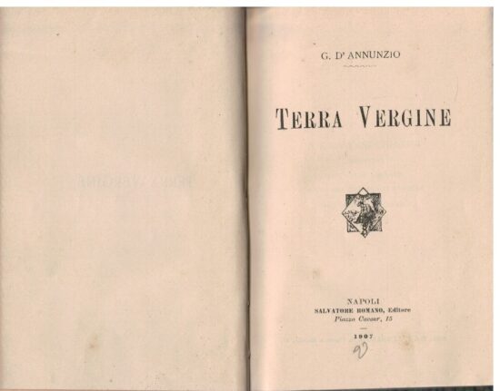 Terra vergine