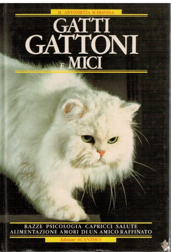 Gatti gattoni e mici