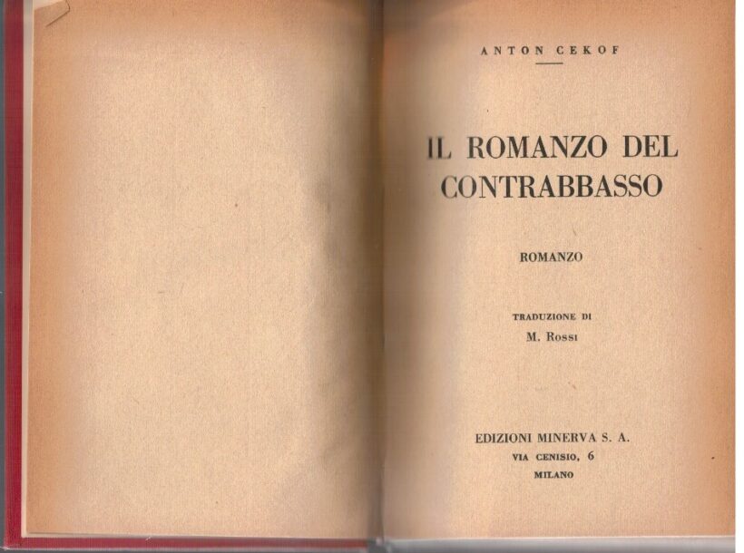 Il romanzo del contrabbasso