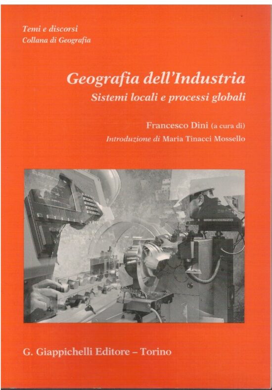 Geografia dell'industria Sistemi locali e processi globali