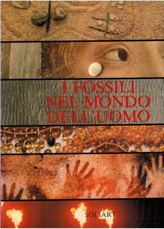 I fossili nel mondo dell'uomo