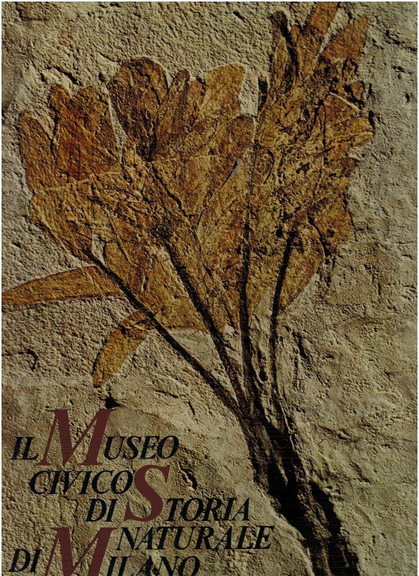 Il museo civico si storia naturale - Cesare Conci 1 Il museo civico si storia naturale - Cesare Conci