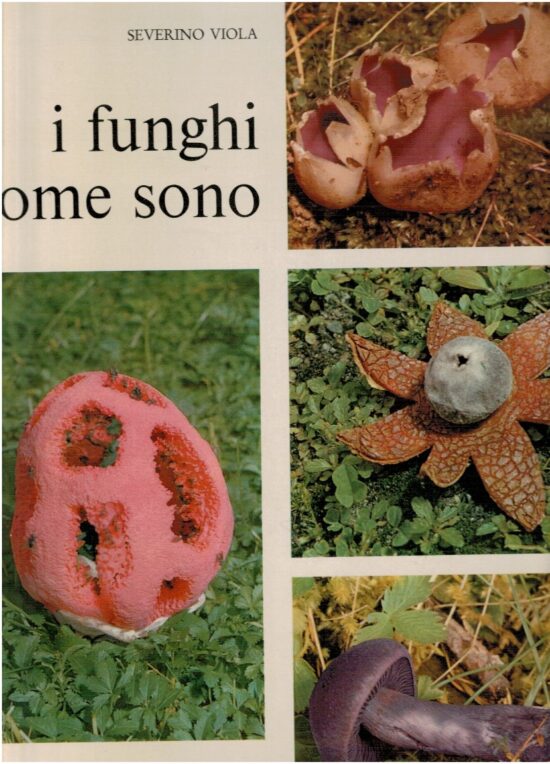 I funghi come sono - Severino Viola