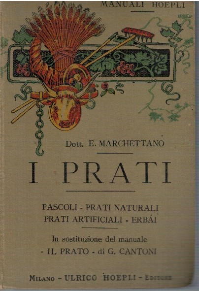 I prati - Enrico Marchettano