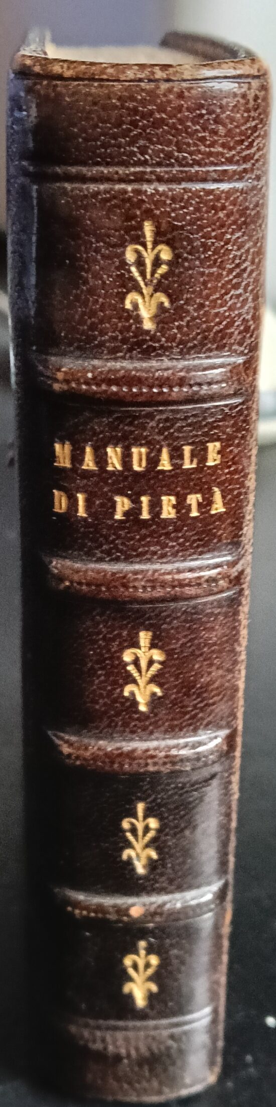 Manuale di pietà e devozione coll'aggiunta del vespro delle domeniche dei salm
