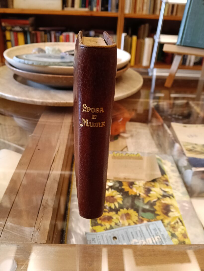 Sposa e madre vademecum della donna cristiana - Ulisse Micocci 3 Sposa e madre vademecum della donna cristiana - Ulisse Micocci