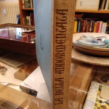 Il libro teatro Hoepli. La Bella addormentata nel bosco - AA.VV