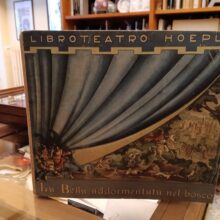 Il libro teatro Hoepli. La Bella addormentata nel bosco - AA.VV