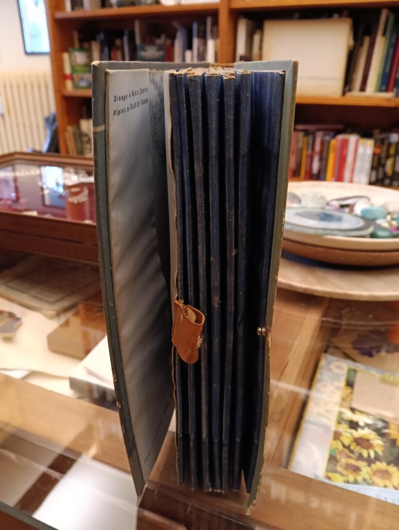 Il libro teatro Hoepli. La Bella addormentata nel bosco - AA.VV