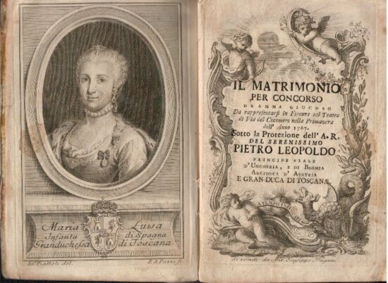 Il matrimonio per concorso dramma giocoso da rappresentarsi in Firenze nel tea