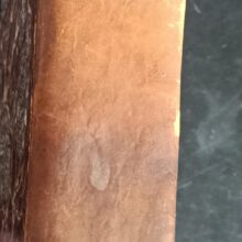 Quaresimale. Dezimaterza impressione. Nouvamente ricoretta. - Paolo Segneri