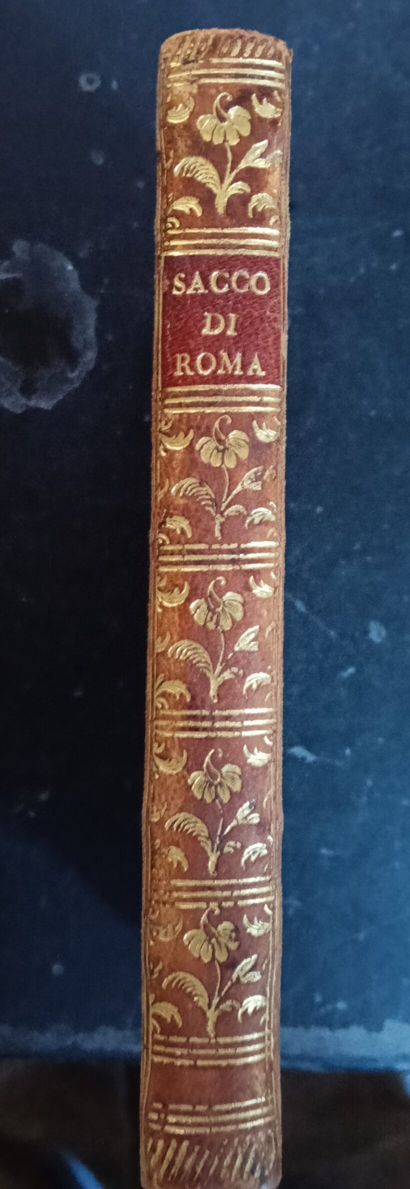 Il sacco di Roma descritto in due libri da Francesco Guicciardini Il sacco di Roma descritto in due libri da Francesco Guicciardini. Edizione se