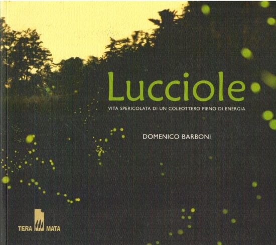 Lucciole. Vita spericolata di un coleottero pieno di energia - Domenico Barbon