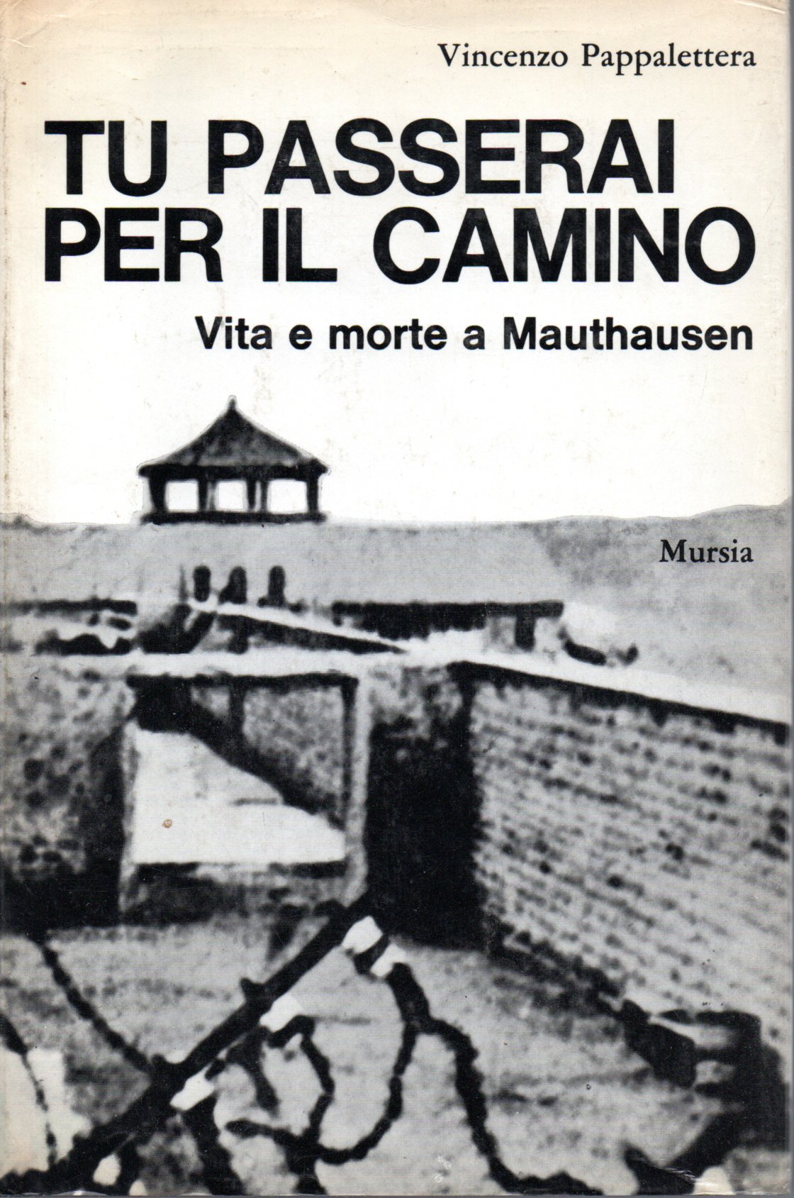 Tu passerai per il camino. Vita e morte a Mauthausen - Vincenzo Pappalettera