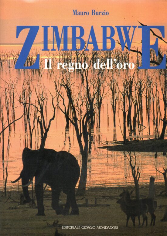 Zimbabwe il regno dell'oro - Mauro Burzio