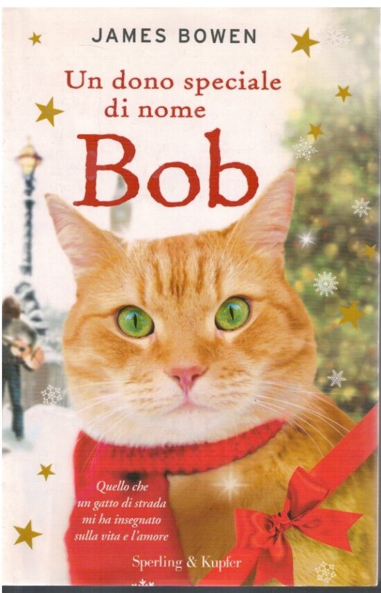 Un dono speciale di nome Bob