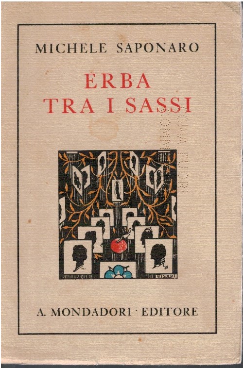 Erba tra i sassi - Michele Saponaro